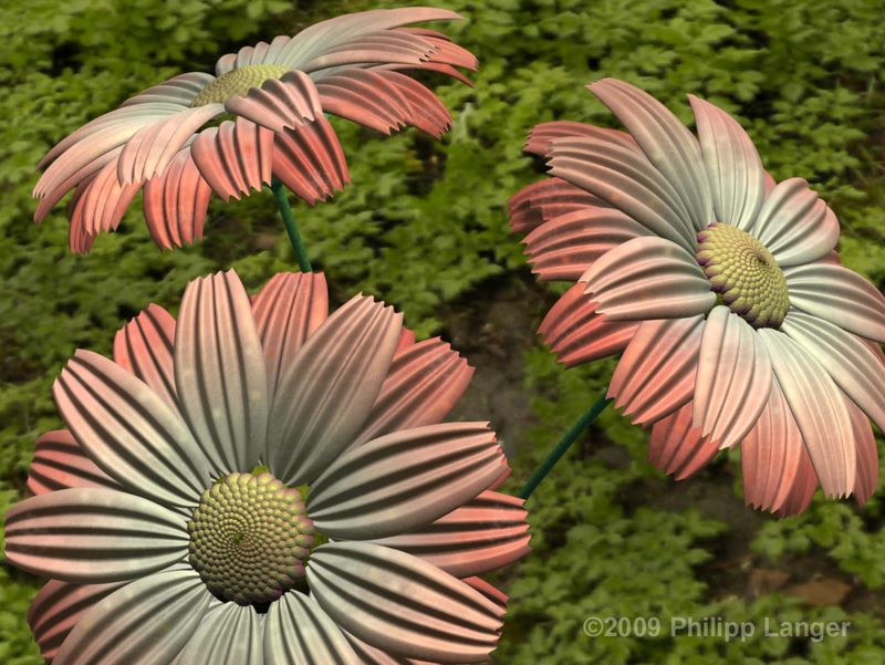 Künstliche Blumen / Artificial Flowers / ©2009: Philipp Langer