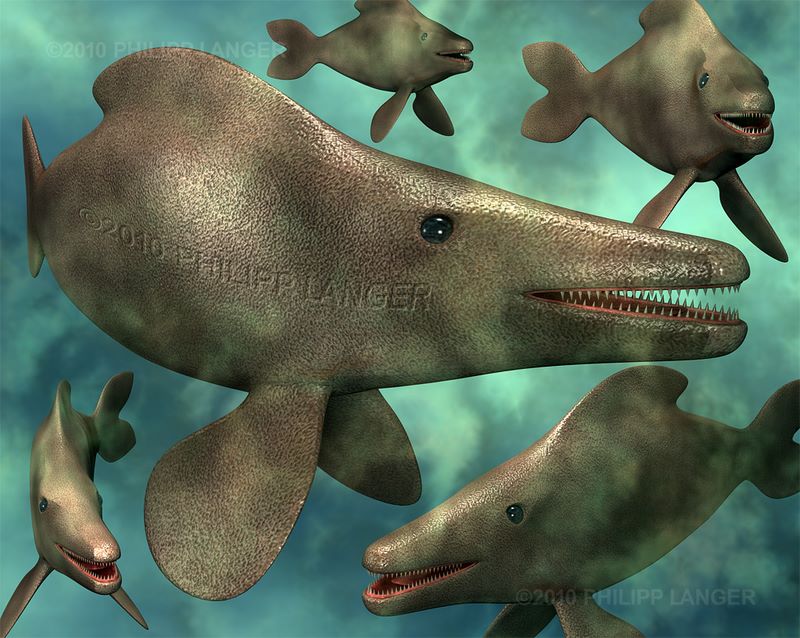 Urzeitfische / Prehistoric Fish / 2010