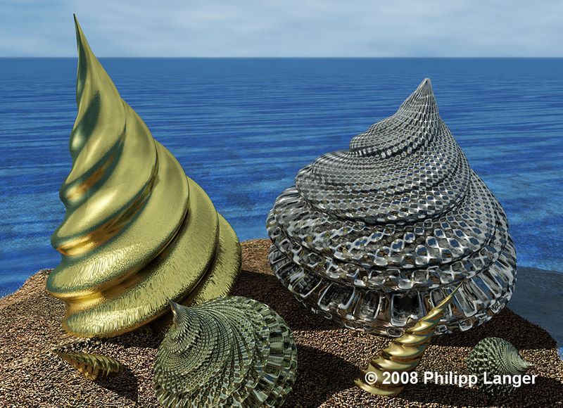 Seeschnecken / Sea Snails / 2008